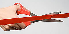 Start up new business